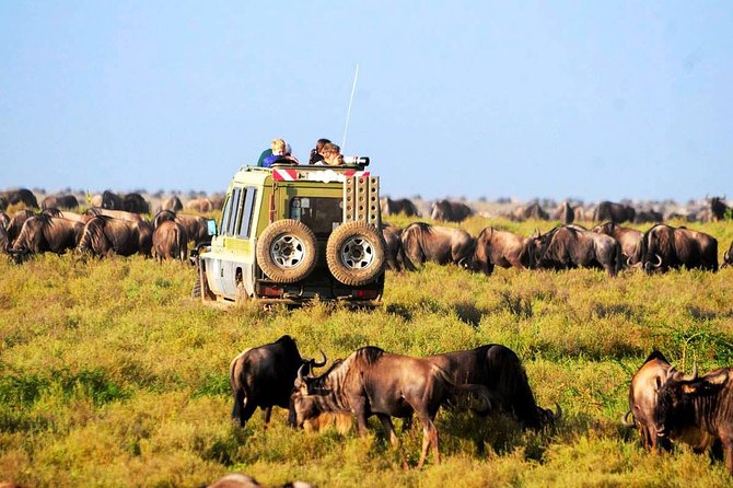 Arusha&dan: Tarangire ve Ngorongoro Krateri Kamp Safari